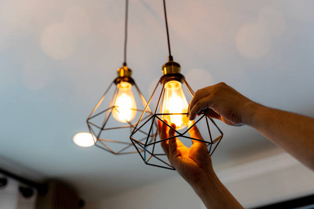 Best Electrician for Home Renovation  in Polk City, IA