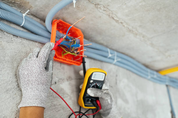 Best Home Electrical Repair  in Polk City, IA